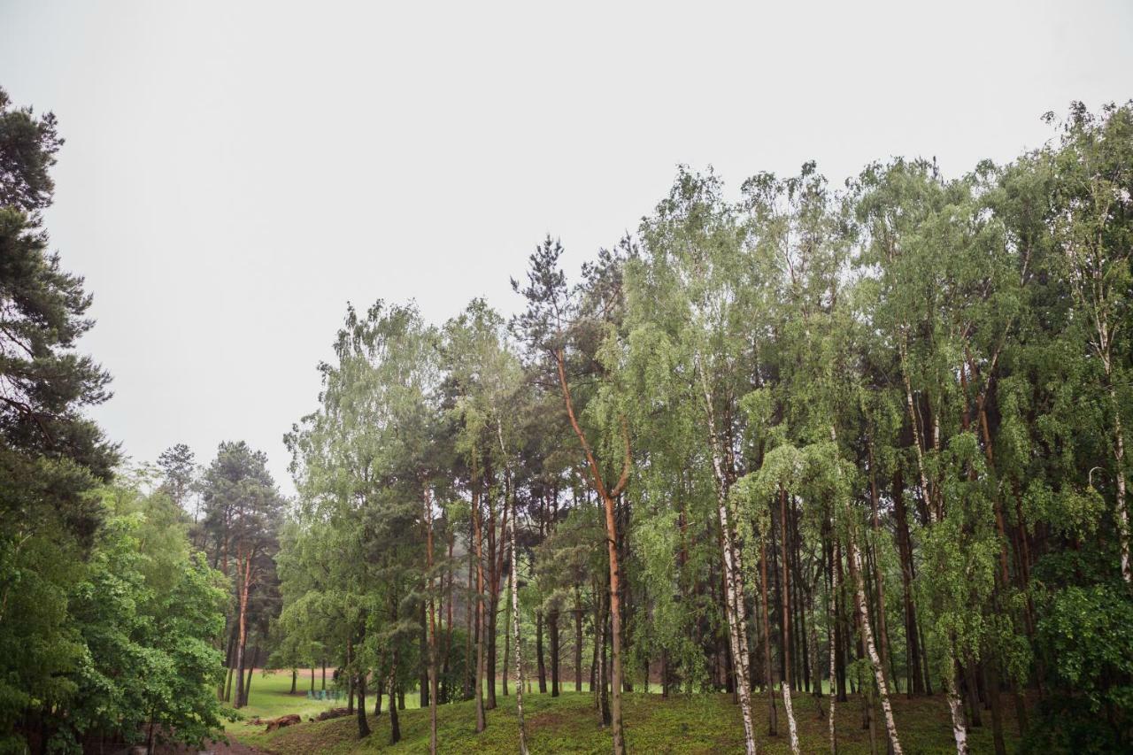 Apartament Iwona Kobyla Góra Exteriör bild